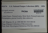 Image Associated With the Occurence